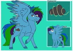 Size: 1024x715 | Tagged: safe, artist:colourstrike, oc, oc only, oc:hurricane, pegasus, pony, green background, male, offspring, parent:rainbow dash, parent:soarin', parents:soarindash, pegasus oc, raised hoof, reference sheet, simple background, solo, spread wings, stallion, wings