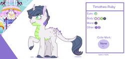 Size: 1438x680 | Tagged: safe, artist:onedayhm, oc, oc only, oc:timotheo ruby, dracony, hybrid, hoof claws, horn, interspecies offspring, male, offspring, parent:rarity, parent:spike, parents:sparity, raised hoof, reference sheet, solo