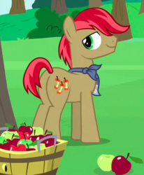 Size: 293x356 | Tagged: safe, screencap, apples snack, earth pony, pony, g4, the perfect pear, apple, apple family member, background pony, bandana, basket, bushel basket, butt, cropped, food, looking back, male, plot, solo, stallion