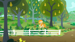 Size: 1279x719 | Tagged: safe, screencap, pear butter, earth pony, pony, g4, the perfect pear, bucket, eyes closed, female, fence, food, mare, mouth hold, orchard, pear, pear orchard, pear tree, plant, pulling, solo, straining, tree, weeding, weeds
