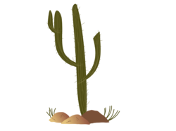 Size: 944x704 | Tagged: safe, artist:thecoltalition, cactus, no pony, plant, resource, saguaro cactus, simple background, transparent background, vector