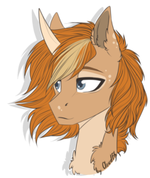 Size: 1265x1500 | Tagged: safe, artist:cloud-fly, oc, oc only, oc:spring wind, pony, unicorn, bust, male, portrait, simple background, solo, stallion, transparent background