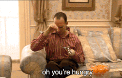 Size: 360x230 | Tagged: safe, artist:nootaz, oc, oc:nootaz, animated, arrested development, buster bluth, crossover, gif, ponies riding roombas, riding, roomba