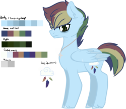 Size: 1024x884 | Tagged: safe, artist:chrissydrawscz, oc, oc only, oc:cloudius featherrain, pegasus, pony, color palette, jewelry, male, necklace, offspring, parent:rainbow dash, parent:soarin', parents:soarindash, simple background, solo, stallion, transparent background, unshorn fetlocks