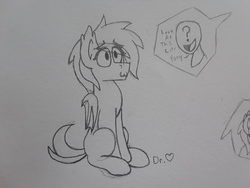 Size: 2576x1932 | Tagged: safe, artist:drheartdoodles, oc, oc only, oc:anon, oc:nossirah, bat pony, fangs, mystery mark, question mark, sitting, smiling, traditional art