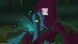 Size: 1280x720 | Tagged: safe, screencap, fluttershy, queen chrysalis, changeling, changeling queen, pegasus, pony, g4, the mean 6, female, hair, photo, picture, polaroid, solo, tree