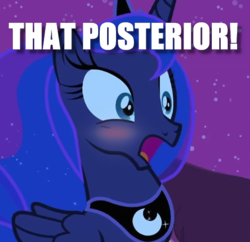 Size: 504x487 | Tagged: safe, edit, edited screencap, screencap, princess luna, alicorn, pony, g4, luna eclipsed, blushing, cropped, crown, dat ass, female, image macro, jewelry, mare, meme, open mouth, peytral, regalia, shocked, solo, ye olde english