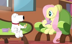 Size: 1148x696 | Tagged: safe, artist:porygon2z, fluttershy, dog, pegasus, pony, g4, brian griffin, cigarette, crossover, family guy, food, male, tea