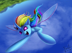 Size: 1500x1105 | Tagged: safe, artist:foughtdragon01, rainbow dash, changedling, changeling, g4, changedlingified, changelingified, dashling, female, flying, holeless, open mouth, solo, species swap