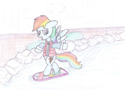 Size: 920x660 | Tagged: safe, artist:m.w., rainbow dash, pony, g4, awesome, back to the future, clothes, cosplay, costume, female, hoverboard, jacket, marty mcfly, parody, solo