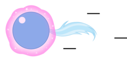 Size: 375x180 | Tagged: safe, artist:mega-poneo, trixie, pony, unicorn, g4, ball, crossover, female, magic, mare, motion lines, rolling, simple background, solo, sonic the hedgehog (series), spin dash, transparent background, trixieball