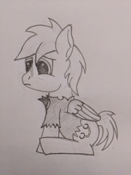 Size: 759x1012 | Tagged: safe, artist:risen_warrior, oc, oc only, oc:murky, pony, fallout equestria, sketch, solo, traditional art