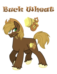 Size: 1160x1487 | Tagged: safe, artist:hazardous-andy, oc, oc only, oc:buck wheat, earth pony, pony, base used, blaze (coat marking), coat markings, cowboy hat, facial markings, freckles, hat, male, offspring, parent:applejack, parent:trouble shoes, parents:troublejack, simple background, solo, stallion, straw in mouth, transparent background, unshorn fetlocks