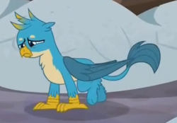 Size: 390x272 | Tagged: safe, screencap, gallus, griffon, g4, the hearth's warming club, beak, cropped, male, paws, sad, solo, tail, wings