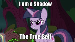 Size: 960x540 | Tagged: safe, edit, edited screencap, screencap, mean rainbow dash, mean twilight sparkle, alicorn, pony, g4, the mean 6, clone, everfree forest, evil grin, evil rainbow dash, grin, image macro, meme, persona, persona 4, shadow, sinister, smiling, smirk