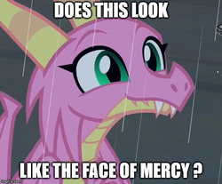 Size: 604x499 | Tagged: safe, edit, edited screencap, screencap, scales (g4), dragon, g4, the hearth's warming club, boomerang (tv channel), caption, cropped, dragoness, face of mercy, female, image macro, imgflip, logo, meme, rain, solo, text