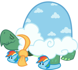 Size: 2644x2385 | Tagged: safe, artist:shutterflyeqd, rainbow dash, tank, tortoise, g4, tanks for the memories, clothes, dashie slippers, eyes closed, high res, male, scarf, simple background, slippers, solo, transparent background, vector