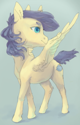 Size: 630x977 | Tagged: safe, artist:amphoera, oc, oc only, oc:venti via, pegasus, pony, looking over shoulder, solo, spread wings, wings