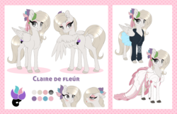 Size: 4184x2692 | Tagged: safe, artist:silkensaddle, oc, oc only, pegasus, pony, clothes, cutie mark, dock, dress, female, hoodie, mare, reference sheet, skirt, solo