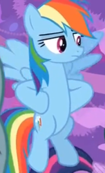 Size: 226x372 | Tagged: safe, screencap, rainbow dash, a matter of principals, g4, the hearth's warming club, cropped