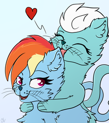 Size: 2282x2557 | Tagged: safe, artist:php80, fleetfoot, rainbow dash, cat, g4, blushing, catified, chest fluff, commission, commissioner:fleetfoot, ear fluff, eyes closed, female, fleetdash, fluffy, heart, high res, holding, lesbian, licking, open mouth, rainbow cat, shipping, simple background, species swap, tongue out, white background