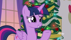 Size: 1920x1080 | Tagged: safe, screencap, twilight sparkle, alicorn, pony, g4, the hearth's warming club, christmas, christmas tree, cute, discovery family logo, female, grin, hearth's warming tree, holiday, mare, smiling, solo, squee, tree, twiabetes, twilight sparkle (alicorn), underhoof
