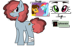 Size: 1429x943 | Tagged: safe, artist:marimah14, cheese sandwich, rainbow dash, oc, earth pony, pony, g4, bandage, cheesedash, female, heterochromia, male, mare, offspring, parent:cheese sandwich, parent:rainbow dash, parents:cheesedash, reference sheet, shipping, simple background, solo, straight, white background