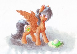 Size: 4352x3047 | Tagged: safe, artist:pzkratzer, daring do, pegasus, pony, g4, solo, tongue out, traditional art, watercolor painting