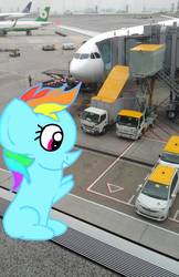 Size: 1080x1662 | Tagged: safe, artist:sumi-mlp25, rainbow dash, pegasus, pony, g4, airbus, airbus a321, airbus a330, airport, boeing 777, eva air, female, irl, jetway, photo, plane, ponies in real life, solo, united airlines
