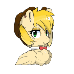 Size: 500x500 | Tagged: safe, artist:amplemares, oc, oc only, oc:holly apple, pegasus, pony, bust, chest fluff, freckles, hat, pixel art, simple background, transparent background