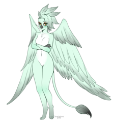 Size: 3040x3388 | Tagged: safe, artist:tawni-tailwind, oc, oc only, oc:styx, griffon, anthro, digitigrade anthro, barbie doll anatomy, breasts, crossed arms, featureless breasts, featureless crotch, female, floofy feathers, griffon oc, high res, large wings, pale belly, reference sheet, simple background, solo, white background, white belly, wings