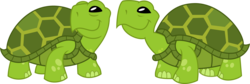 Size: 8910x3000 | Tagged: dead source, safe, artist:pixiepea, reptile, turtle, castle sweet castle, g4, animal, duo, simple background, smiling, transparent background, vector