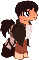 Size: 1024x1558 | Tagged: safe, artist:leanne264, earth pony, pony, attack on titan, clothes, levi ackerman, male, ponified, simple background, solo, stallion, transparent background