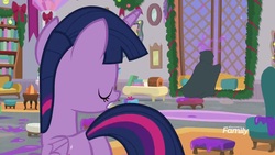 Size: 1920x1080 | Tagged: safe, screencap, twilight sparkle, alicorn, pony, g4, the hearth's warming club, cloak, clothes, discovery family, discovery family logo, logo, twilight sparkle (alicorn)