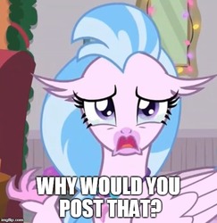 Size: 500x515 | Tagged: safe, edit, edited screencap, screencap, silverstream, classical hippogriff, hippogriff, g4, the hearth's warming club, caption, cropped, crying, female, image macro, imgflip, jewelry, meme, necklace, reaction image, sad, teary eyes, text, why would you post that