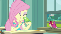 Size: 1280x720 | Tagged: safe, screencap, fluttershy, bird, a little birdie told me, equestria girls, g4, my little pony equestria girls: better together, canterlot high, classroom, cute, desk, eyes closed, eyeshadow, female, geode of fauna, makeup, paper, pencil, shyabetes, smiling, snuggling, window