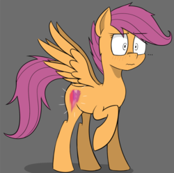 Size: 1411x1408 | Tagged: safe, alternate version, artist:pinkberry, scootaloo, pegasus, pony, g4, ..., blushing, cutie mark, fake cutie mark, female, filly, freckles, gray background, raised hoof, scrunchy face, simple background, smudge, solo, surprised, the cmc's cutie marks, wings