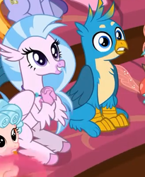 Size: 327x398 | Tagged: safe, screencap, cozy glow, gallus, silverstream, classical hippogriff, griffon, hippogriff, pegasus, pony, a matter of principals, g4, claws, cropped, female, filly, male, paws, sitting, varying degrees of want, wings