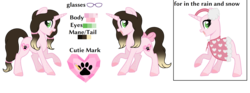 Size: 2786x1038 | Tagged: safe, artist:cindystarlight, oc, oc only, oc:cindy, pony, unicorn, female, mare, reference sheet, simple background, solo, transparent background