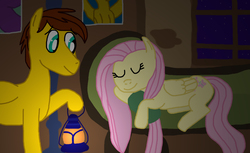 Size: 3060x1872 | Tagged: safe, artist:sb1991, fluttershy, oc, oc:film reel, pegasus, pony, g4, couch, fanfic art, fluttershy's cottage, fluttershy's cottage (interior), lantern, night, pillow, poster, sleeping, story art