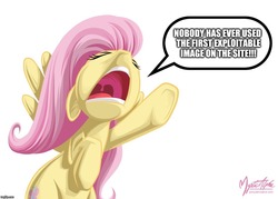 Size: 1120x800 | Tagged: safe, artist:mysticalpha, edit, editor:useraccount, fluttershy, pegasus, pony, g4, exploitable, eyes closed, female, image macro, imgflip, impact font, mare, meme, nose in the air, open mouth, sad but true, signature, simple background, solo, truth, underhoof, white background, yelling