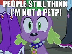 Size: 1440x1080 | Tagged: safe, edit, edited screencap, editor:useraccount, screencap, spike, dog, equestria girls, g4, my little pony equestria girls, confused, disbelief, image macro, meme, op is a duck, op is trying to start shit, pet, shitposting, spike is a pet, spike the dog, spikeabuse, spikeposting