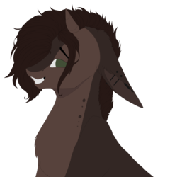 Size: 3840x4000 | Tagged: safe, artist:crazllana, oc, oc only, pony, bust, floppy ears, portrait, simple background, solo, transparent background