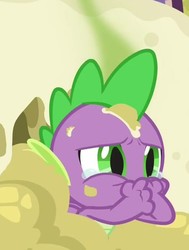 Size: 589x779 | Tagged: safe, screencap, spike, dragon, a matter of principals, g4, cheese, covering mouth, cropped, food, limburger cheese, male, smelly, spikeabuse, winged spike, wings