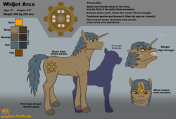 Size: 1400x950 | Tagged: safe, artist:widjetarcs, oc, oc:widjet, pony, unicorn, hoers, magic, reference sheet