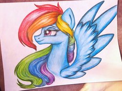 Size: 1024x766 | Tagged: safe, artist:kartie128, rainbow dash, pony, g4, alternate hairstyle, bust, female, portrait, solo, traditional art