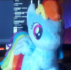 Size: 763x749 | Tagged: safe, rainbow dash, g4, 4de, irl, photo, plushie, toy