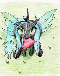 Size: 2091x2650 | Tagged: safe, artist:40kponyguy, derpibooru exclusive, queen chrysalis, changeling, changeling queen, cheeselegs, cute, cutealis, female, floppy ears, grass, heart, looking at you, looking up, looking up at you, mouth hold, solo, spread wings, traditional art, wings