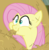 Size: 467x478 | Tagged: safe, screencap, fluttershy, pegasus, pony, g4, my little pony: friendship is magic, the hooffields and mccolts, aweeg*, bust, cropped, female, hay, horses doing horse things, mare, portrait, puffy cheeks, solo