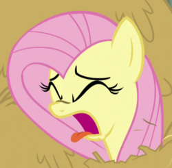 Size: 488x478 | Tagged: safe, screencap, fluttershy, pegasus, pony, g4, the hooffields and mccolts, cropped, female, mare, open mouth, solo, tongue out